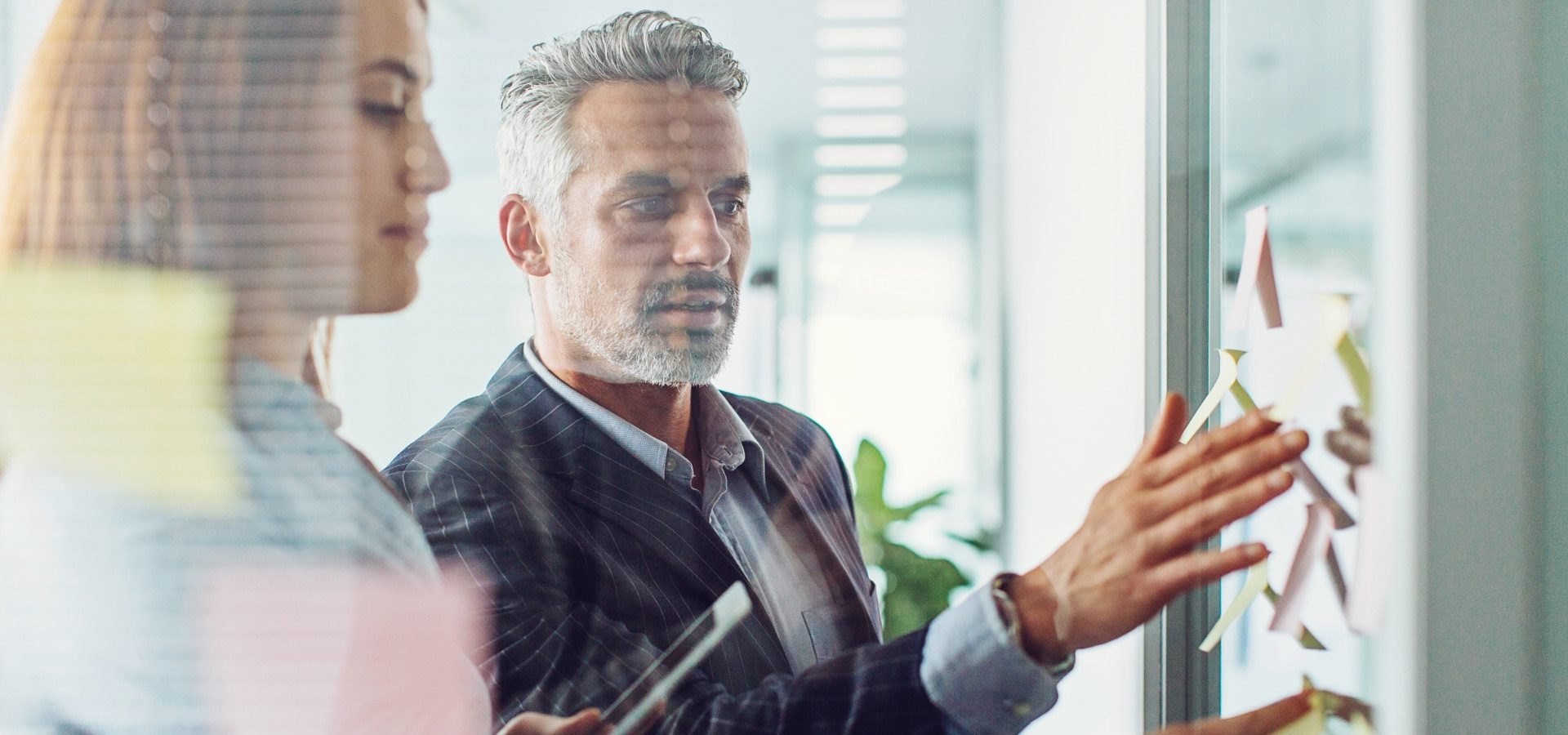 What is risk intelligence?