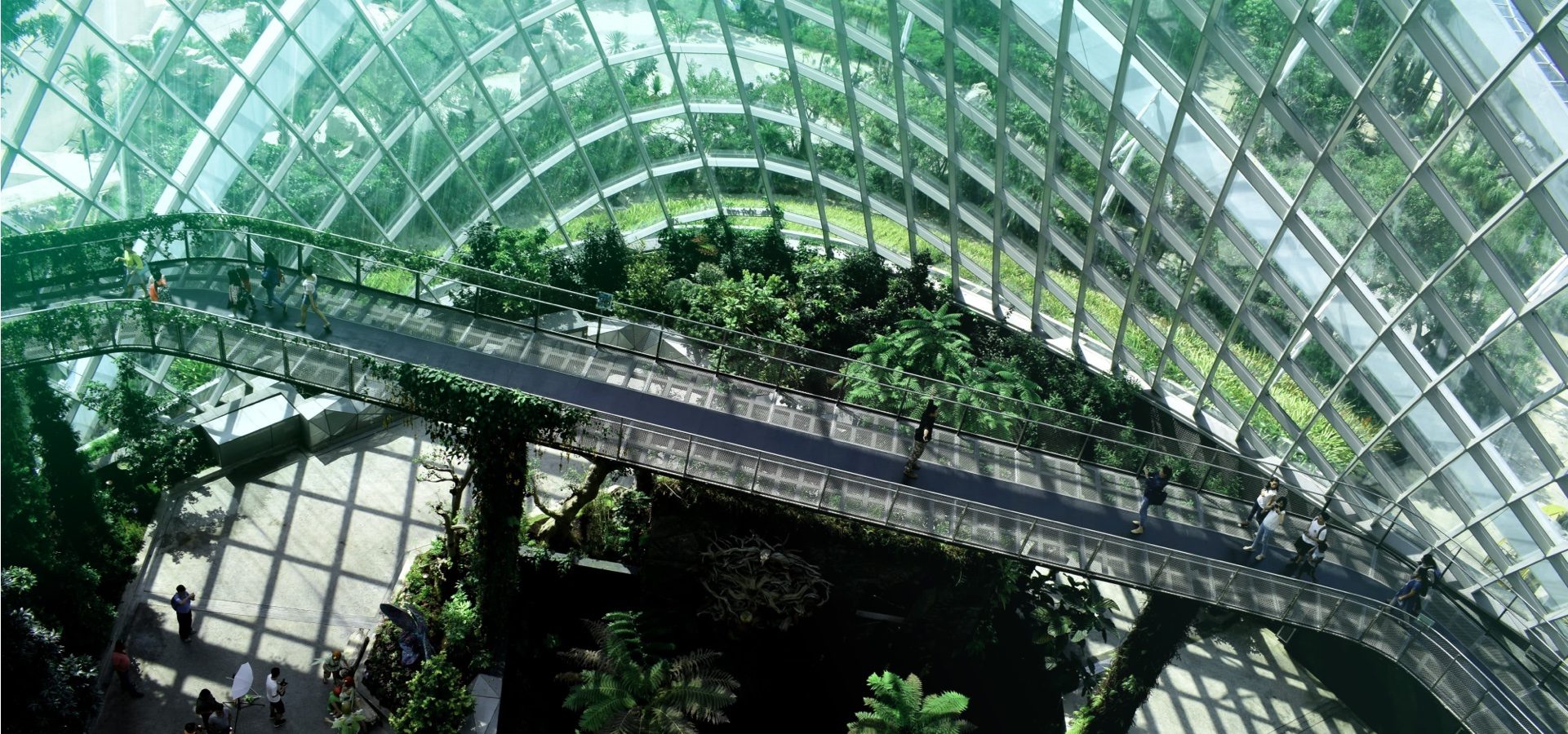What’s the difference between CSR and ESG?
