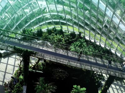 What’s the difference between CSR and ESG?