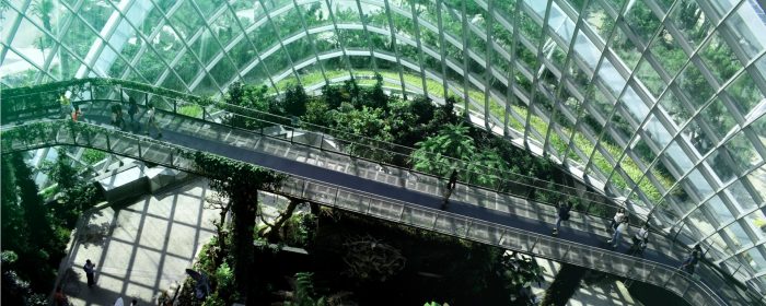 What’s the difference between CSR and ESG?