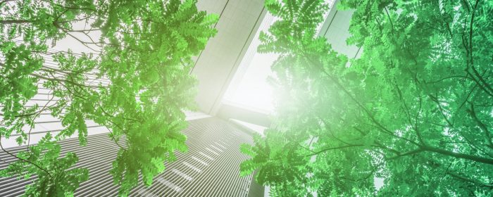 ESG and corporate stakeholders