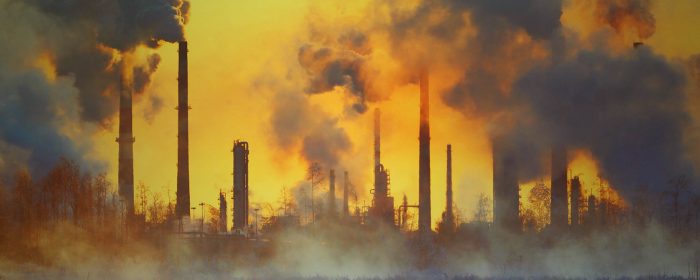 How have private financial firms been proactive in utilising carbon offsets?