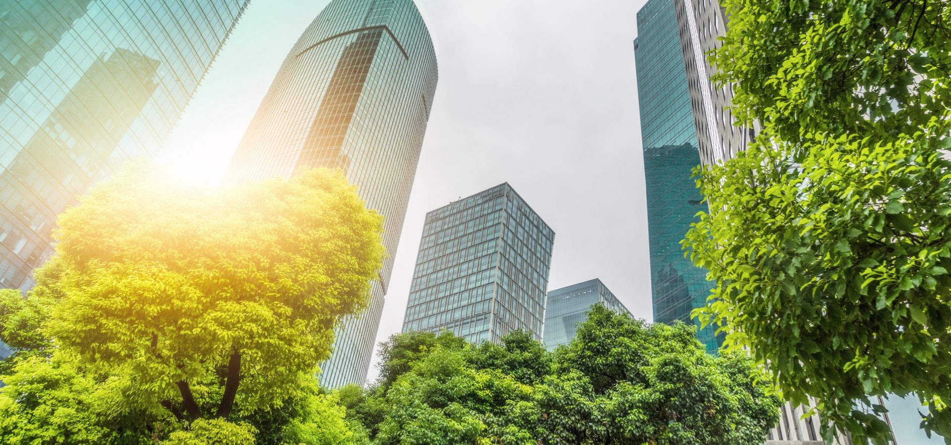 How ESG risks can affect your business
