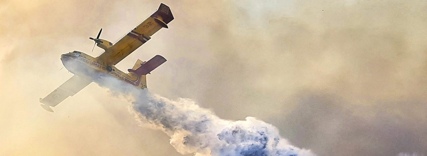 Australian Bushfires: The alva Reputation Case Study