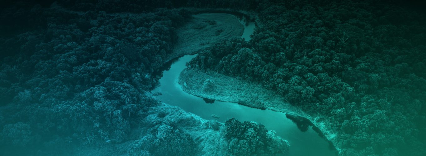 ESG Performance: Challenges and solutions in quantifying ESG opportunities and risks