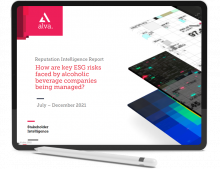 mockup_web-copy